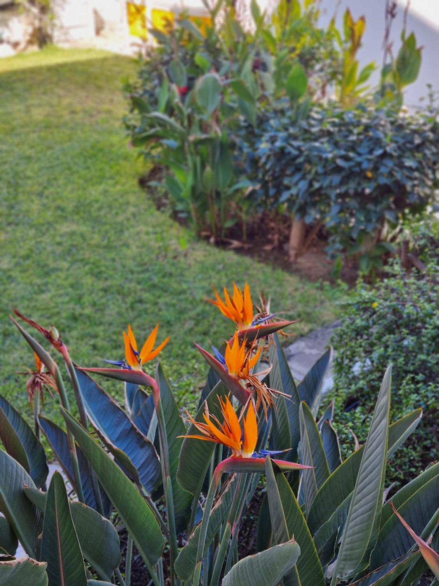 Apartment With Sea View Close To Dunes Of Playa Del Ingles ซานบาร์โตโลเม ภายนอก รูปภาพ